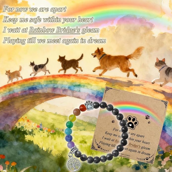 Pet Memorial Gifts, Sympathy Gift for Loss of Dogs and Cats, Chakra Rainbow Bridge Bracelet for Women Men Who Lost Pets