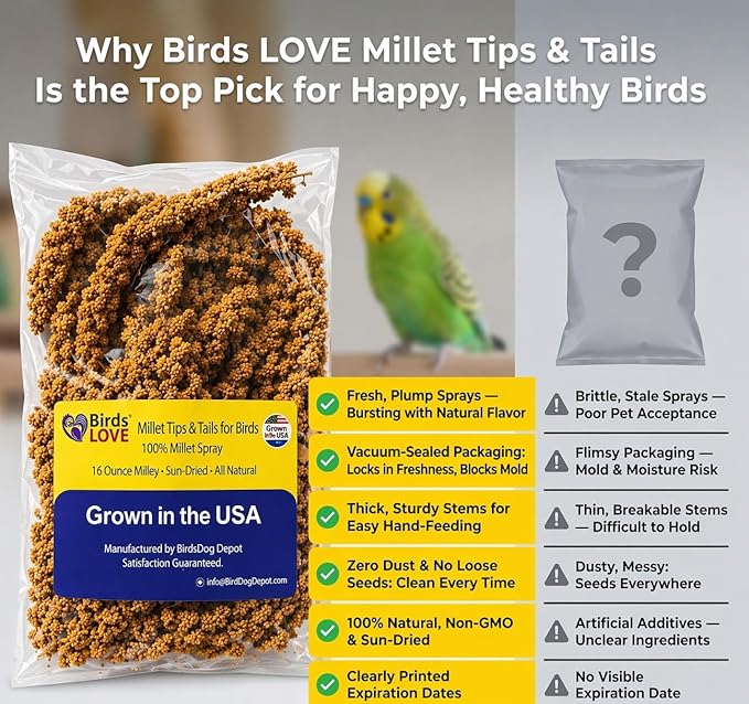 1lb Millet Tips & Tails for Birds - Parakeets, Cockatiels, Lovebirds, Finches, Budgies, Canaries, Cockatoos - Natural & Healthy Millet for Birds - Parakeet Food & Treats for All Parrots (2 Pack)