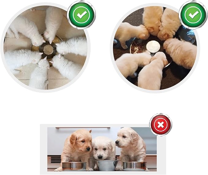 Puppy Dog Bowl, Stainless Steel Multiple Puppies Feeder, Dogs Basic Food and Water Bowls Weaning Dish for Small, Medium and Large Dogs Pets
