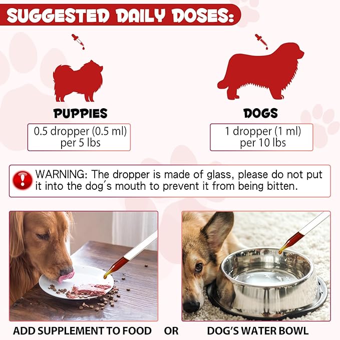 Iron Supplements for Dogs, Liquid Iron for Dogs with Folate and B12 Supports Anemia, Supplement for Anemia, Promotes Blood Health 2 oz