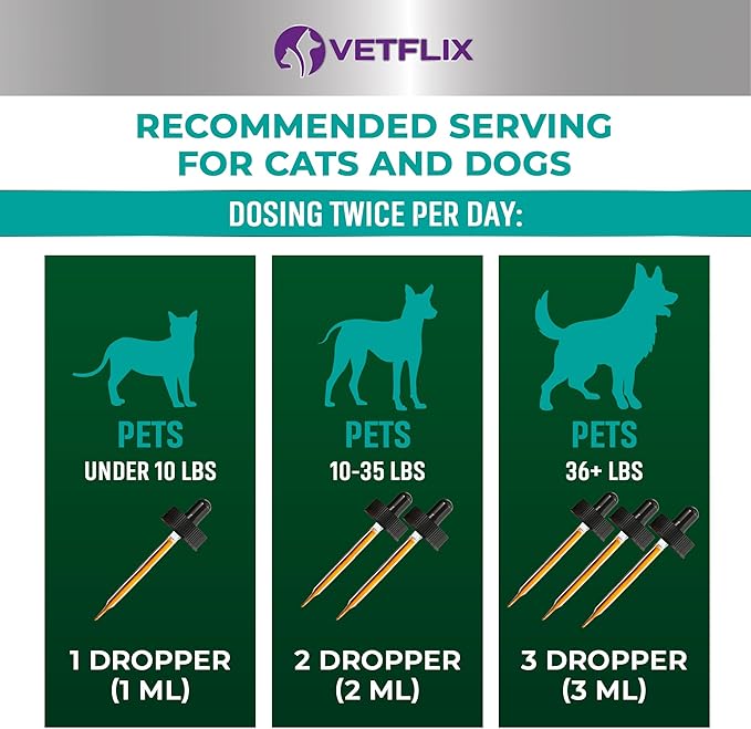 Premium Probiotics for Dogs & Cats - Digestive Enzymes & Prebiotics Supplement - Supports Digestive Health & Gut Balance - 2 Fl Oz