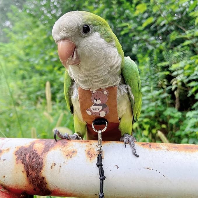 Bird Diaper Harness Flight Suit Clothes, Parrot Flight Suit with Leash for Parrot, Bird Flying Clothes with Rope and Handle for Outdoor Activities Training (Necked Parakeet,Without Leash)
