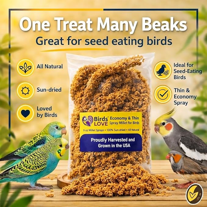 9 oz Spray Millet for Birds – GMO-Free, No Stems (Only Edible Tops) – 100% Natural Sun-Dried Foraging Treat for Cockatiels, Lovebirds, Parakeets, Finches & Canaries