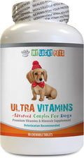 Dog Immune System - Dog Ultra Vitamins - Veterinarian Recommended - Immune Support - Hair Skin Eyes and Bones Support - Dog Vitamins and Supplements - 1 Bottle (90 Treats)