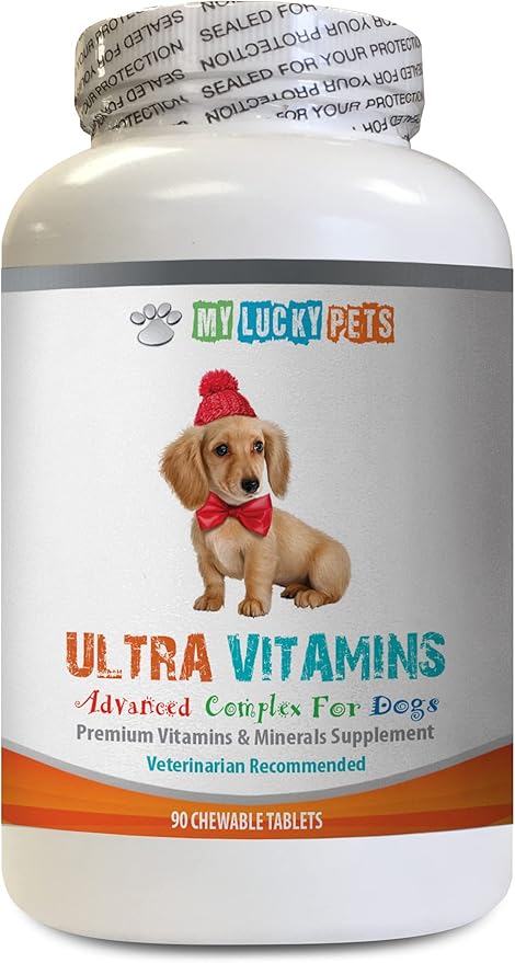 Dog Immune System - Dog Ultra Vitamins - Veterinarian Recommended - Immune Support - Hair Skin Eyes and Bones Support - Dog Vitamins and Supplements - 1 Bottle (90 Treats)