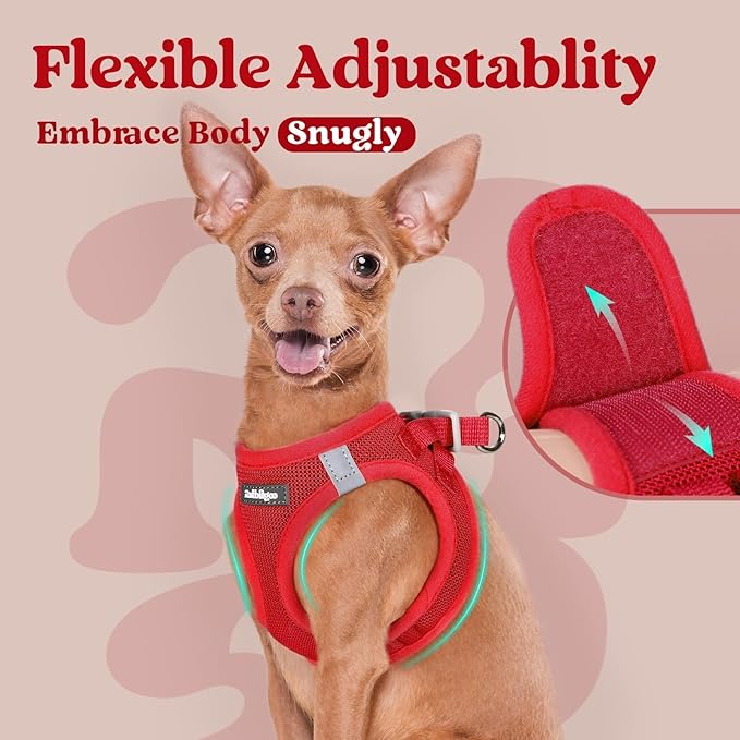 rabbitgoo Small Dog Harness, Step-in Soft Mesh Puppy Vest with Safety Buckle, Breathable Reflective Pet Harness for Small Medium Dogs, Red L