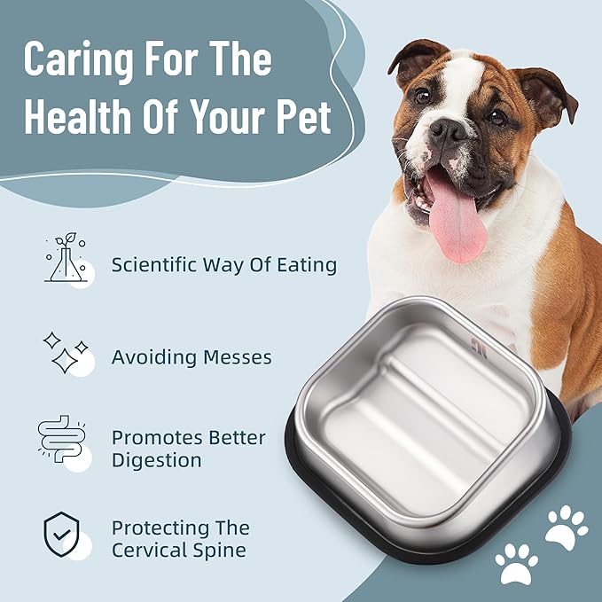 Nicelock Stainless Steel Dog Bowl, Slanted Dog Bowls, Tilted Angle Bulldog Feeder, Non-Slip & Non-Spill & Premium Material & Easier to Eat, for Flat-Faced Dog Breeds or Cats