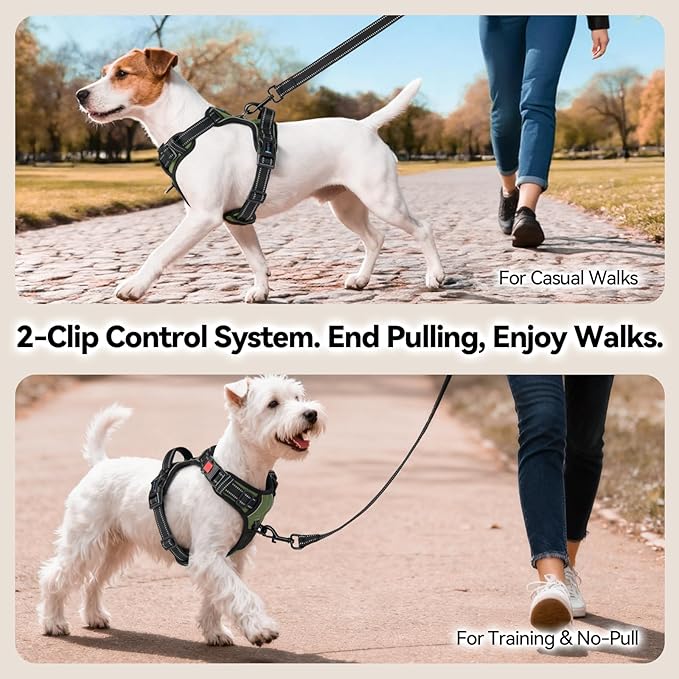 PHOEPET No Pull Dog Harness with Handle Front & Back Clip, Easy on Lockable Snap Buckle at Neck, Adjustable Reflective Vest with Handle for Small Medium Large Dogs (M, Misty Green)