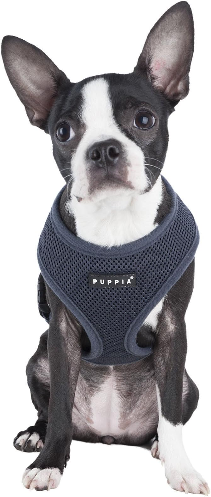 Authentic Puppia Soft Harness, Grey, Small (Pack of 3)