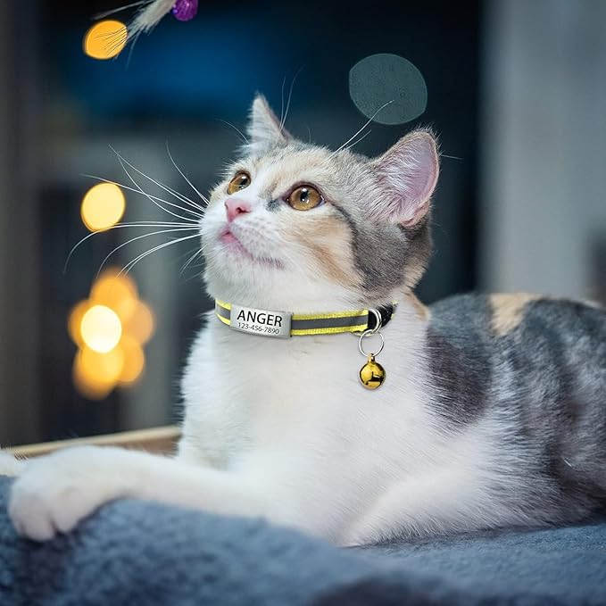 TagME 2 Pack Cat Collar with Name Tag, Personalized Reflective Cat Collar Breakaway with Bell for Boy & Girl Cats, Yellow
