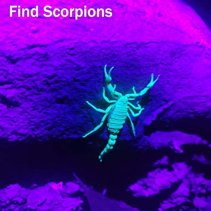 UV Flashlight Black Light- 365nm 395nm Ultraviolet Flashlights, Handheld Blacklight Torch Woods Lamp for Pet Urine Stains Detection, Rocks & Minerals, Glue Curing, Scorpions Finder and Uranium Glass