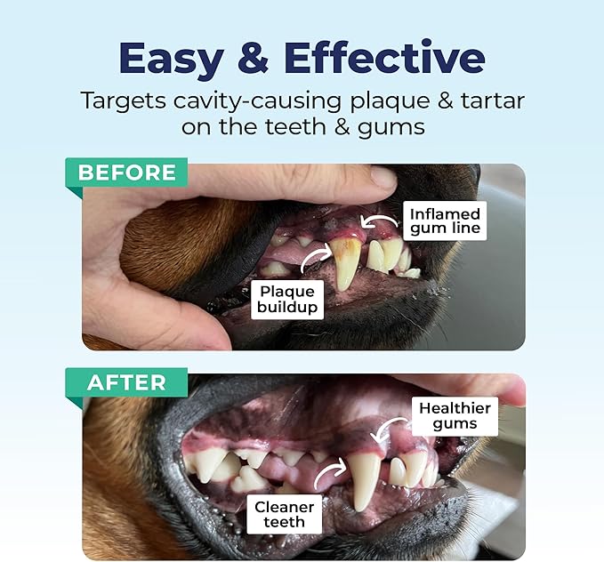 Vetnique Dentabliss - Dog Teeth Cleaning Finger Mitt Dental Wipe - Dog Plaque & Tartar Prevention with Brushing Beads - Flavored Dog Teeth Wipes, Dog Breath Freshener (Chicken)