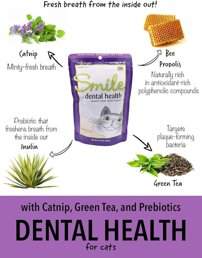 In Clover Smile Daily Dental Health Soft Chews for Cats, Support Healthy Teeth and Fresh Tongue with Catnip and Green Tea, Prebiotics, and Chlorophyll for Fresh Breath, 10.5 oz
