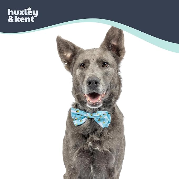 Huxley & Kent Pet Bow Tie for Dogs & Cats - Spring Theme Adjustable Hook & Loop Collar Accessory - Cute & Comfortable for Holidays & Celebrations - Busy Bees, Extra-Large