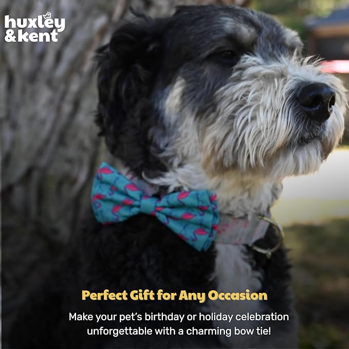 Huxley & Kent Pet Bow Tie for Dogs & Cats - Adjustable Hook & Loop Collar Accessory - Cute & Comfortable for Holidays & Celebrations - Flamingo, Large