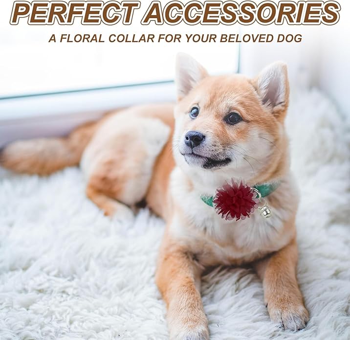 Dog Collar Flowers, Pet Flower Charms Soft Chiffon Cat Collar Bow Tie Floral Grooming Supplies, Intended for Rabbit