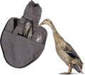 Hen Holster Starter Kit - Wrap-Around Runner Duck Diaper w/ Removable Liner & Fixed Tab - Durable, Secure Fit, Easy-to-Wear - Essential Duck Supplies for Real Ducks, Made in USA - Gray