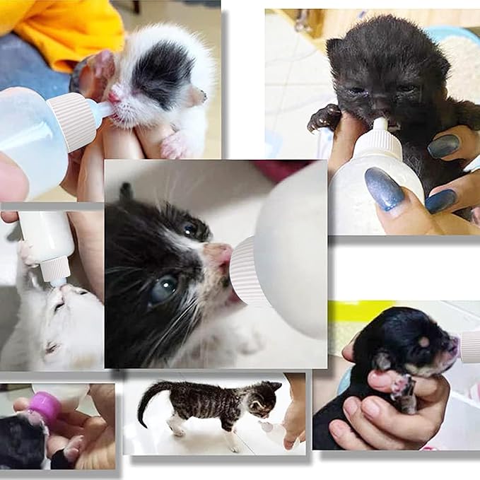 GKYZBB 4Pack 120ML pet Puppy Bottles for Nursing,Kitten Bottle Feeding Kit Nipple for Newborn Kitten Puppy Rabbits Squirrel Animals （Blue Cover）
