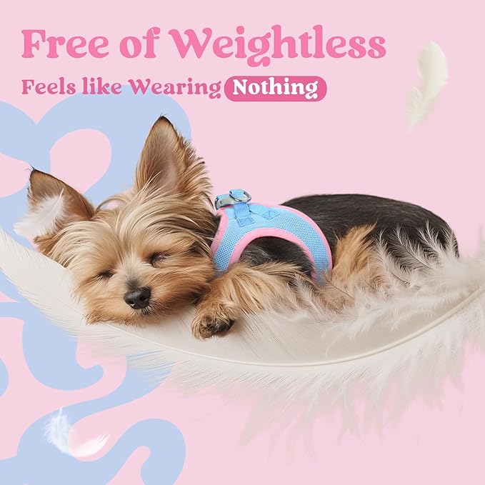 rabbitgoo Small Dog Harness, Step-in Soft Mesh Puppy Vest with Safety Buckle, Breathable Reflective Pet Harness for Small Medium Dogs, Blue & Light Pink XL