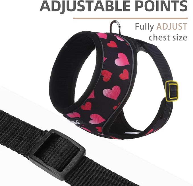 PUPTECK Soft Mesh Dog Harness and Leash Set Pet Puppy Cat Comfort Padded Vest No Pull Harnesses Valentine, Black&Pink, S