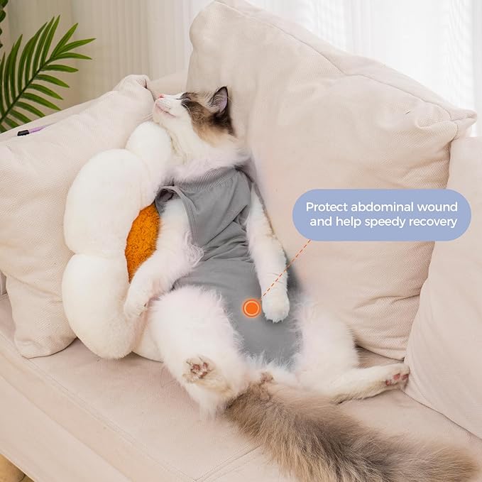 Avont Cat Recovery Suit Female Kitten After Spay Surgery, Breathable Modal Cotton Cat Onesie for Wound & Skin Disease Care, Machine Washable -Grey(S)