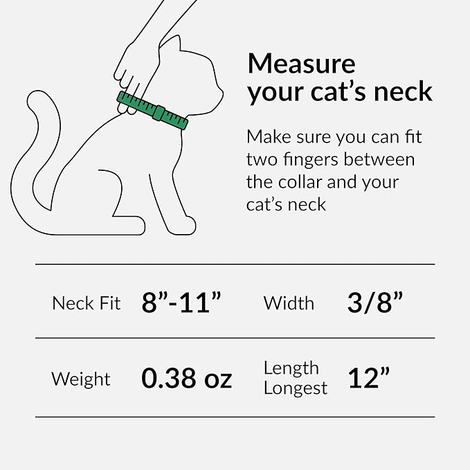 CollarDirect Leather Cat Collar, Kitten Collar with Removable Bell Black Blue Red Orange Lime Green (Neck Fit 8"-11", Navy Blue)