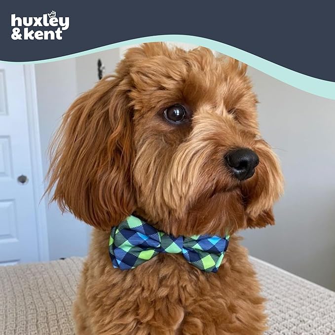Huxley & Kent Pet Bow Tie for Dogs & Cats - Adjustable Hook & Loop Collar Accessory - Cute & Comfortable for Holidays & Celebrations - Navy Check, Large