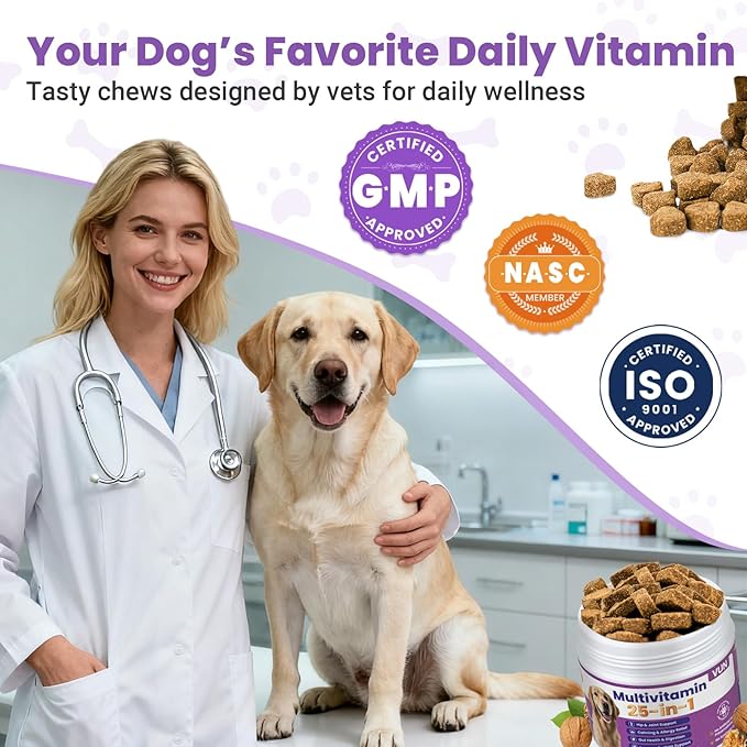 Dog Multivitamin 25 in 1 Dogs Vitamins Supplements Treats Chewable for Pet Omega-3 Glucosamine Vitamin for Puppy Supplies Skin Coat, Heart, Hips & Joints, Digestion & Immune System 100pcs