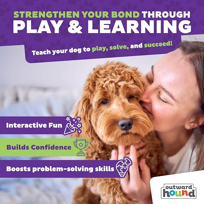 Outward Hound by Nina Ottosson Dog Casino Treat Puzzle Enrichment Toy, Level 3 Advanced, Turquoise
