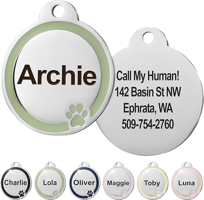 GoTags Stainless Steel Pet ID Bone Round and Heart Shaped Tags with Enamel Paw Design, Personalized Dog and Cat Tags, up to 5 Lines of Custom Text, Engraved on Both Sides (Sage, Small Round)