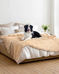 PJYuCien Large Dog Blankets, Soft Plush Throw Blanket for Large Dogs, Reversible Fleece/Sherpa Pet Throw, Washable Furniture Cover for Sofa/Bed, 80" x 60", Brown, Indoor
