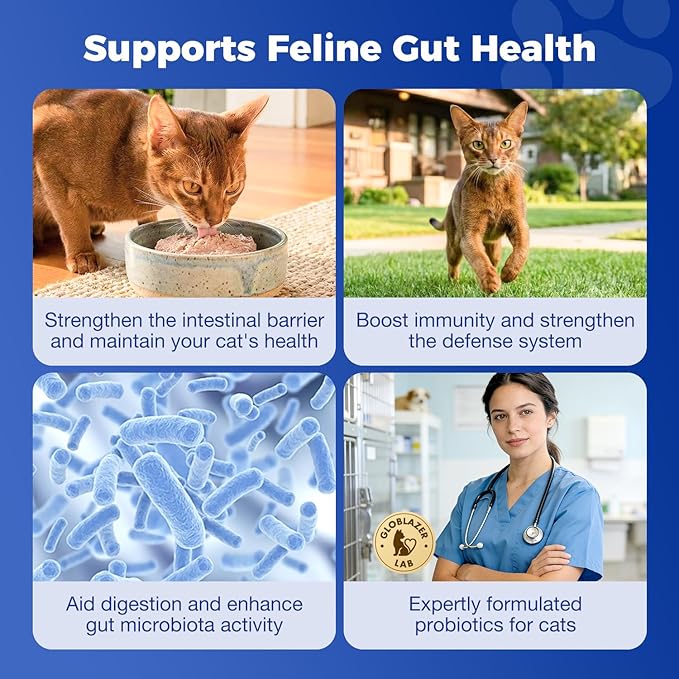 Cat Probiotics Gut – Constipation Relief – Supports Immunity, Regularity, & Healthy Digestion, 30-Day Supply (Adult Formula)