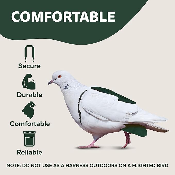 Hen Holster Premium Starter Kit - Bird Diaper, Wrap Around for Larger Pigeons, Small Breed Hens & Roosters - Leak-Proof, Comfortable Bird Harness with Sewn-in Liner & Hook & Loop Closure - XS, Green
