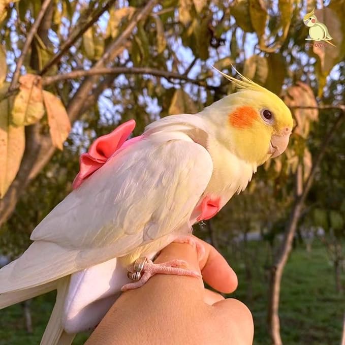 Bird Diaper Harness Flight Suit Clothes with Flying Leash for Parrots Cockatiel Pet Birds, Parrot Clothes, Bird Training Nappy Suit Liners Clothes (S, Silver)