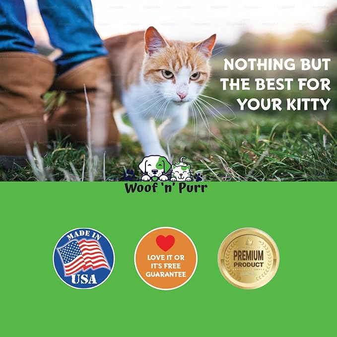 Natural Cat Ear Infection Treatment - Ear Infection Treatment for Cats - for Oral Use - May Help to Reduce Redness, Irritation, Itching & Much More - Cat Immune Support - 1 fl oz - Chicken Flavor