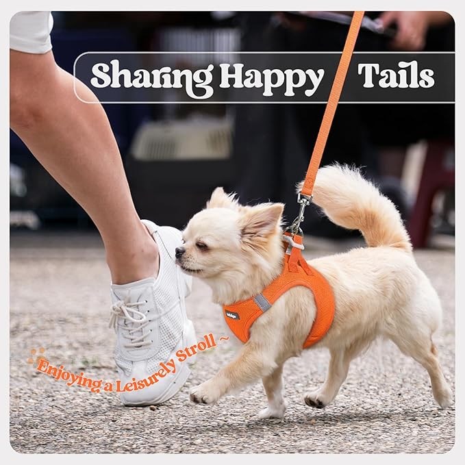 rabbitgoo Dog Harness Medium Sized and Leash Set, Step in Soft Light Puppy Vest, Breathable Mesh Pet Harness, Reflective for Safe Easy Walking, Orange XXL