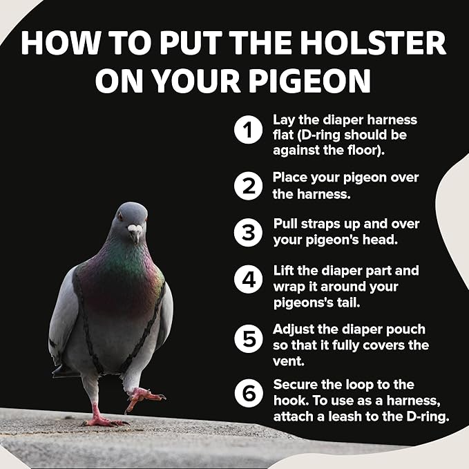 Hen Holster Premium Starter Kit - Bird Diaper, Wrap Around for Larger Pigeons, Small Breed Hens & Roosters - Leak-Proof, Comfortable Bird Harness with Sewn-in Liner & Hook & Loop Closure - XS, Black