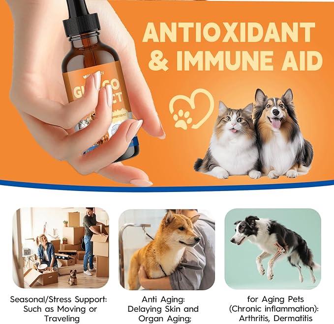 Pet Ginkgo Brain & Heart Support Drops, for Dogs & Cats: Cognitive & Memory Support, Blood Pressure, Cholesterol, Fights Mental Fog, with Curcumin & Lecithin & Multivitamins ﻿