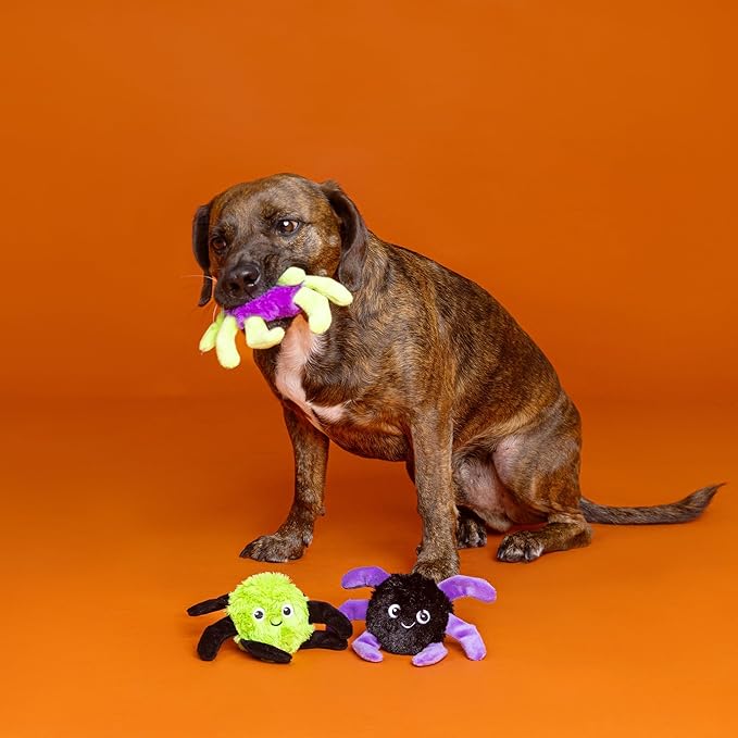 Fringe Studio Pet Toy, Webbed in Mischief Plush Dog Toy 3 PCS Set, PetShop Collection (662190)