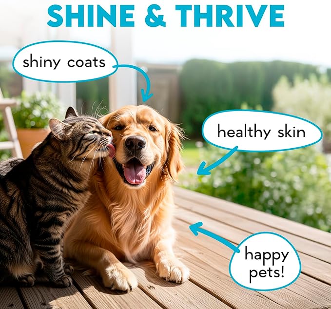 Omega 3 Chews for Dogs - 150Pcs - Dog Skin and Coat Supplement - Rich in EPA & DHA Fatty Acids - Itching Skin Relief Chews - Reduce Hair Shedding - Made with Fish Oil - Chicken
