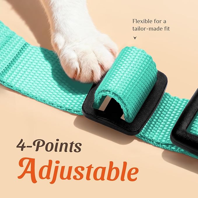 Dooradar Cat Harness and Leash Set, Escape Proof Safe Adjustable Kitten Vest Harnesses for Walking, Easy Control Soft Breathable Mesh Jacket with Reflective Strips for Cats, Green, M