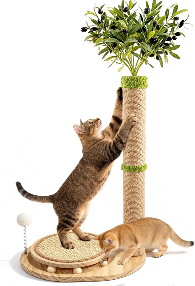 39" Tall Cat Scratching Post, Cute Olive Tree Cat Scratcher, Interactive Cat Toys with Ball Track & Spring Ball, Sturdy Cat Tree with Scratch Pad for Indoor Cats Adults and Kittens