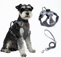 Harness and Leash Set with AirTag Holder for Large Cat Small Dog, Upgraded Escape Proof Vest with Lead for Puppy Outdoor Walking，Soft Breathable Mesh Coat with Reflective Strip (Grey, XL)