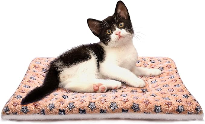FJWYSANGU Fluffy Pet Cat Blanket Soft Coral Velvet Pet Puppy Cushion Mat Warm Cover Soft Pad Mat(Star V2/Beige,Medium)