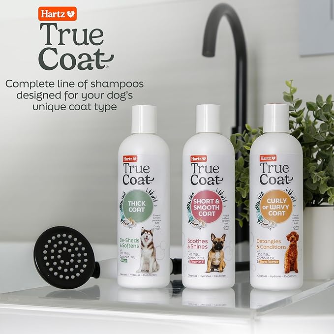 Hartz True Coat Thick Coat Dog Shampoo, 5 in 1 De‑Sheds & Softens with Oat Milk, Coconut Oil & Aloe, 16 oz