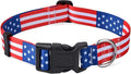 American Flag Dog Collar - Patriotic, US Flag Pattern, Star & Stripes, Fourth of July Dog Collar, Adjustable for Small Medium Large Dogs(Classic US,L)