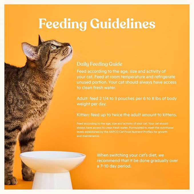 Made by Nacho Wet Cat Food, Cuts in Gravy, Limited Ingredients, Grass-Fed Grain Finished Beef Recipe with Bone Broth for Extra Hydration, (12) 3 oz. Pouches