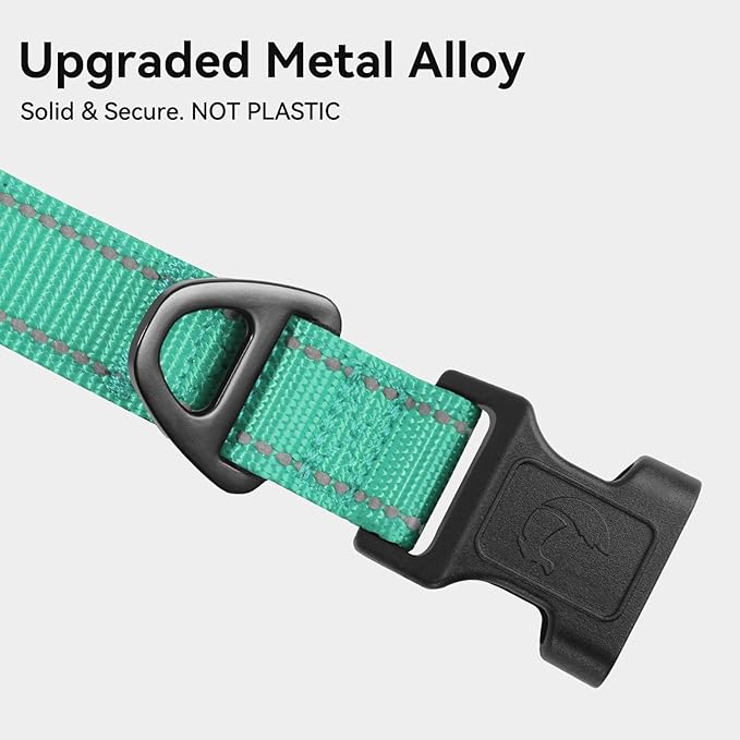 Joytale Reflective Dog Collar, Soft Neoprene Padded, Metal D-Ring, Nylon Pet Collar Adjustable for Puppy and Small Dogs, Teal, XS