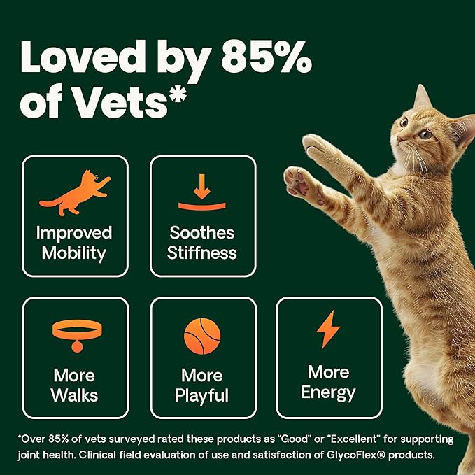VetriScience Extra Strength Healthy Hip & Joint Chews, GlycoFlex Glucosamine and Green-Lipped Mussel Joint Support Supplement for Cats, Promote Mobility and Soothe Joint Discomfort, Chicken, 60 Count