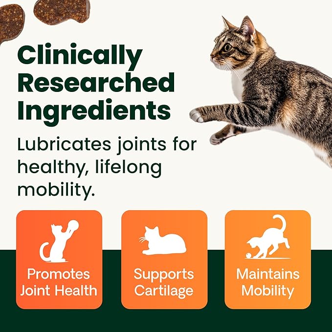 VetriScience Extra Strength Healthy Hip & Joint Chews, GlycoFlex Glucosamine and Green-Lipped Mussel Joint Support Supplement for Cats, Promote Mobility and Soothe Joint Discomfort, Chicken, 60 Count